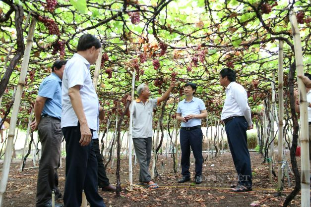 Bàn giao nhà mái ấm cho hội viên nông dân nghèo tại Ninh Thuận - Ảnh 4.