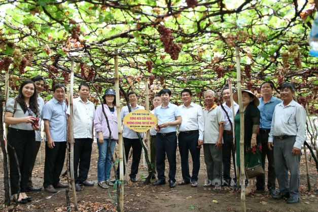 Bàn giao nhà mái ấm cho hội viên nông dân nghèo tại Ninh Thuận - Ảnh 6.