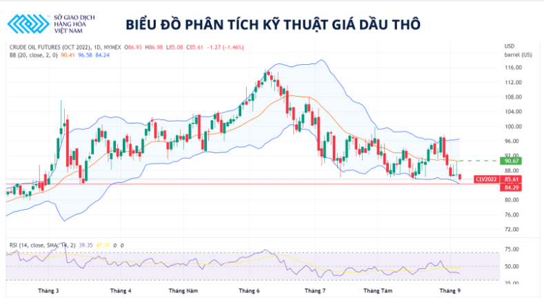 Giá xăng dầu hôm nay 8/9: Dầu thô đang ở mức thấp nhất kể từ tháng 1 năm nay - Ảnh 4.