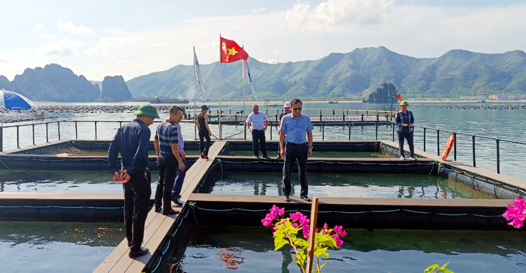 Đảo Phất Cờ vô số hang động kỳ ảo, rồi có nơi được gọi là &quot;Vườn nổi&quot; nằm ở tỉnh nào của Việt Nam? - Ảnh 4.