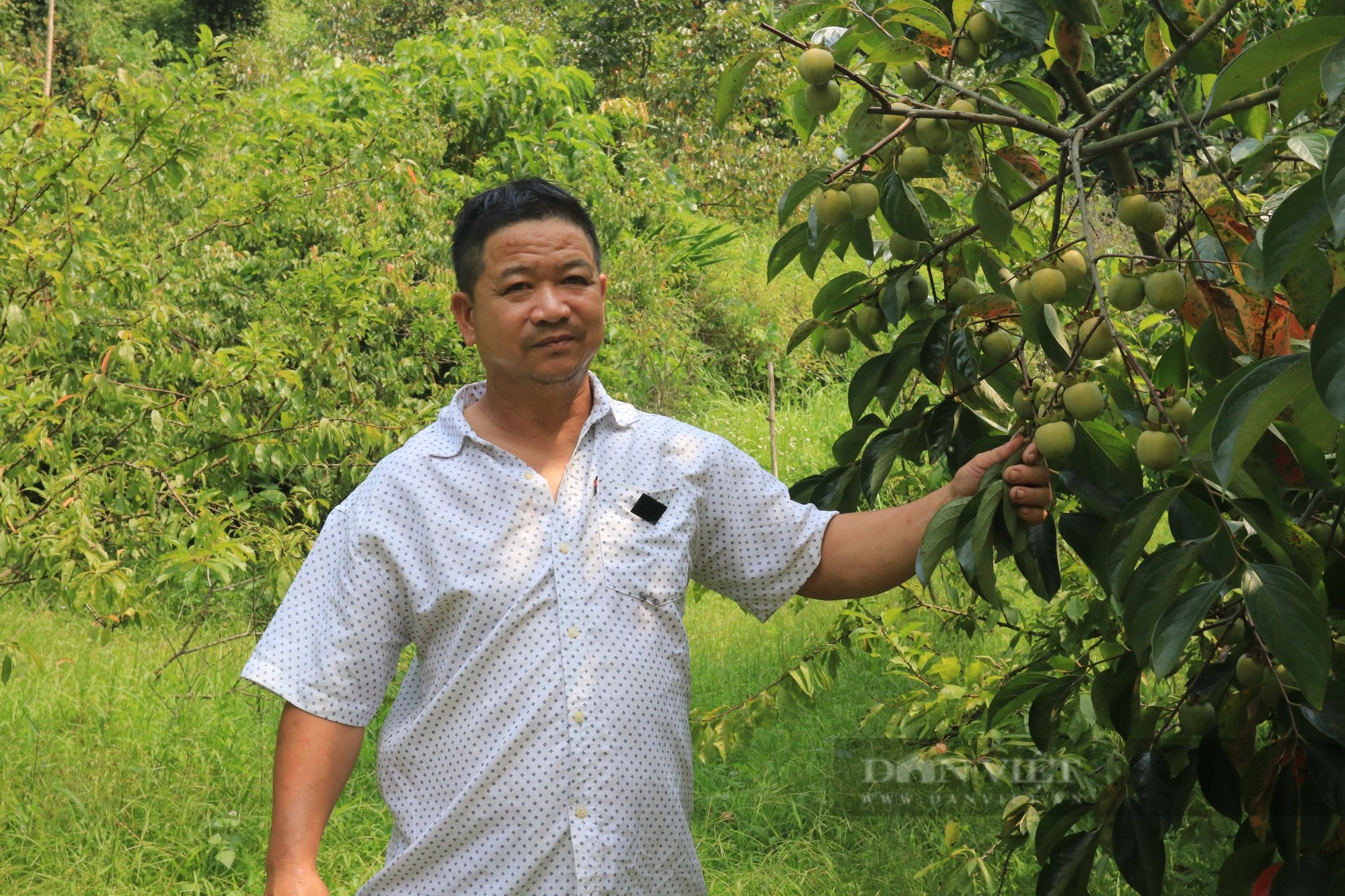 Ông nông dân xuất sắc Hồng- Hồi - Ảnh 1.