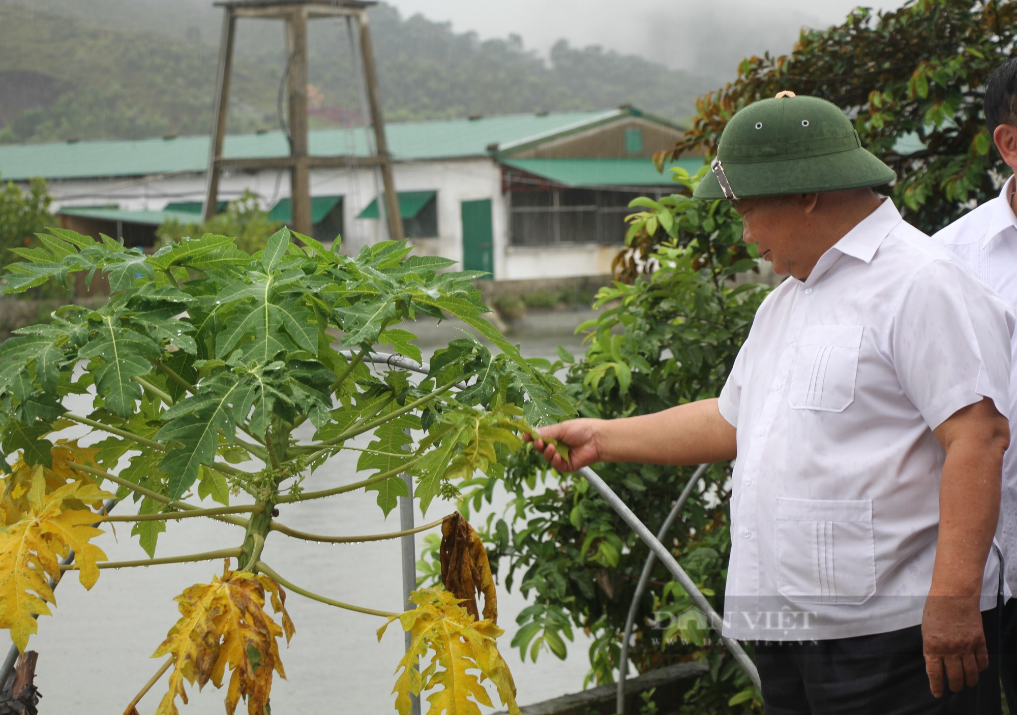 Đoàn đại biểu Trung ương Hội Nông dân Việt Nam dâng hoa tưởng niệm Chủ tịch Hồ Chí Minh - Ảnh 9.