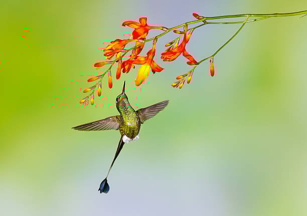 Sinh ngày Âm lịch này trời sinh có số đào hoa, vượng vận quý nhân, cuộc sống viên mãn - Ảnh 3.