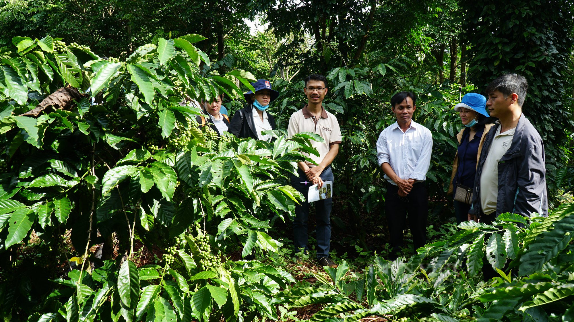Làm thế nào để phát huy hiệu quả của tổ khuyến nông cộng đồng? - Ảnh 4.
