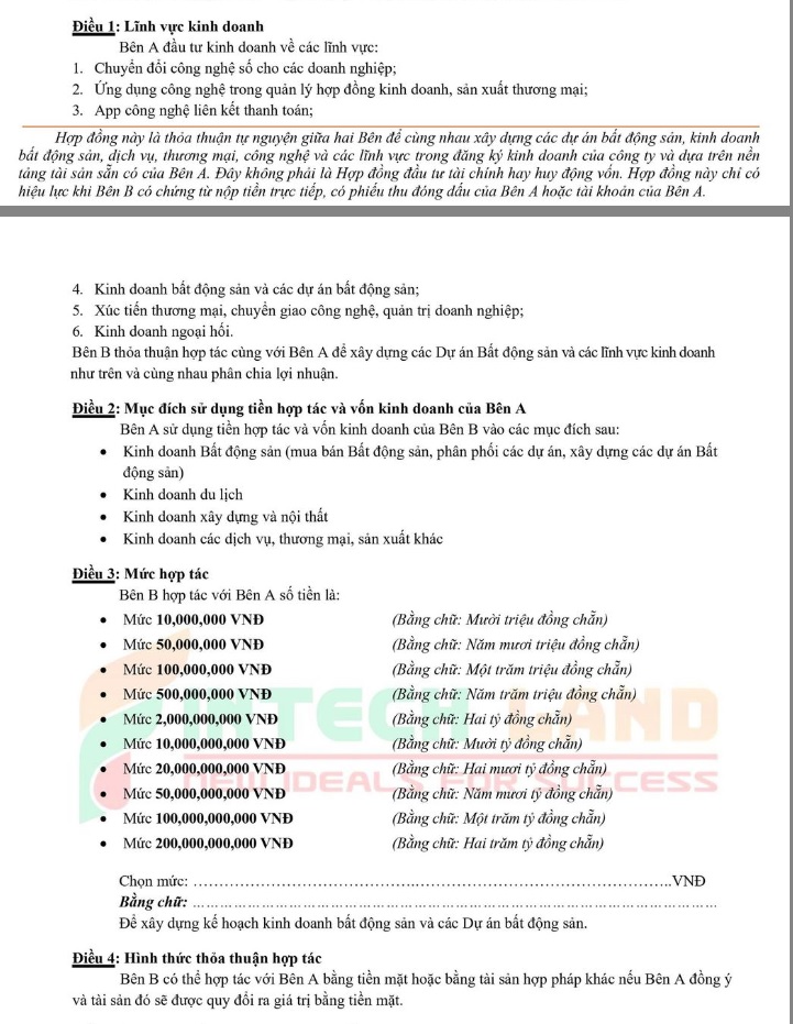 Cảnh báo “chiêu trò” huy động vốn lãi suất “khủng” của nhiều doanh nghiệp bất động sản - Ảnh 4.