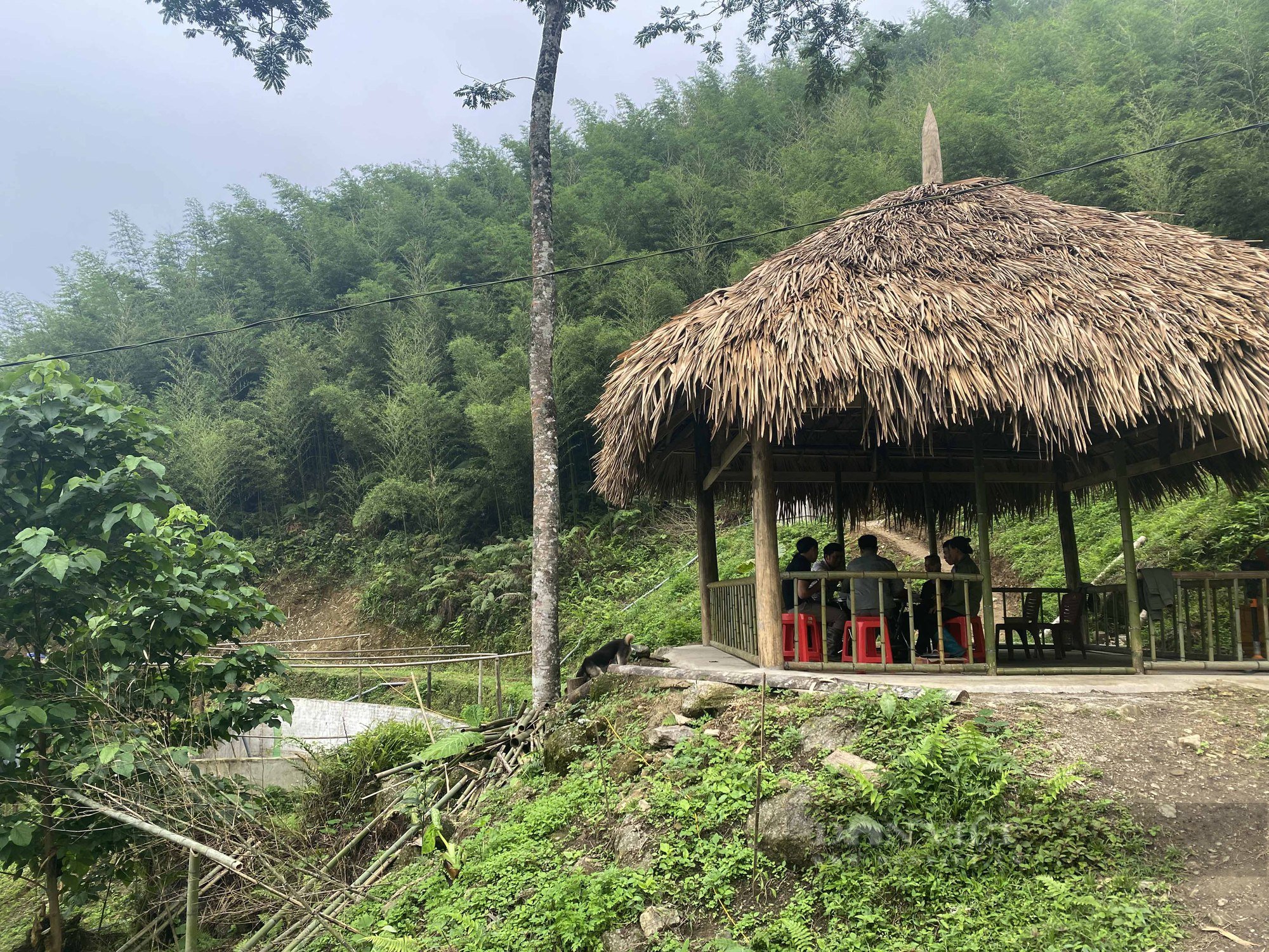 Bắc Kạn: Nuôi cá tầm, cá hồi trên núi cao, vừa bán cá vừa kết hợp làm du lịch - Ảnh 5.