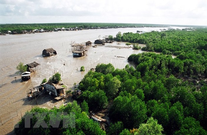 Nuôi tôm &quot;zero đầu vào&quot; để bảo vệ môi trường, mang lại thu nhập tốt cho nông dân  - Ảnh 1.