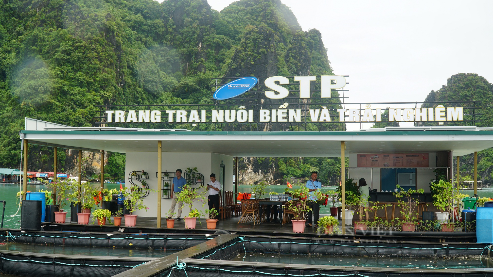 Gần 200 đại biểu cùng thảo luận phát triển bền vững nghề nuôi cá lồng bè trên biển - Ảnh 3.