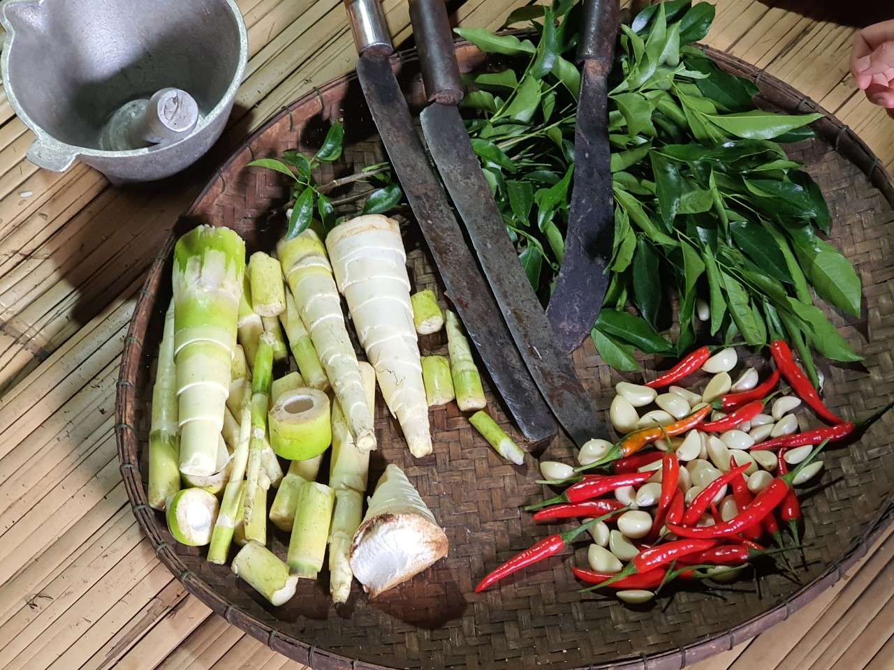 Thứ rau rừng mầm nhọn hoắt này ở Kon Tum bà con dân tộc Xơ Đăng đem nấu với cá suối, chuột rừng, thịt sóc - Ảnh 2.