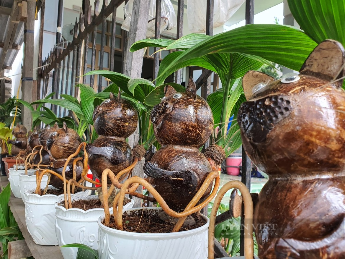 Khánh Hòa: Mãn nhãn với những chậu dừa bon sai siêu độc chơi tết - Ảnh 1.
