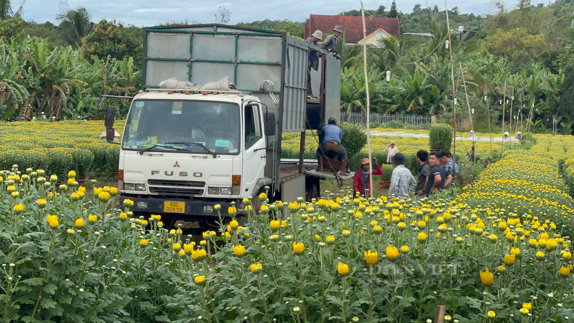 làng hoa - Ảnh 35.