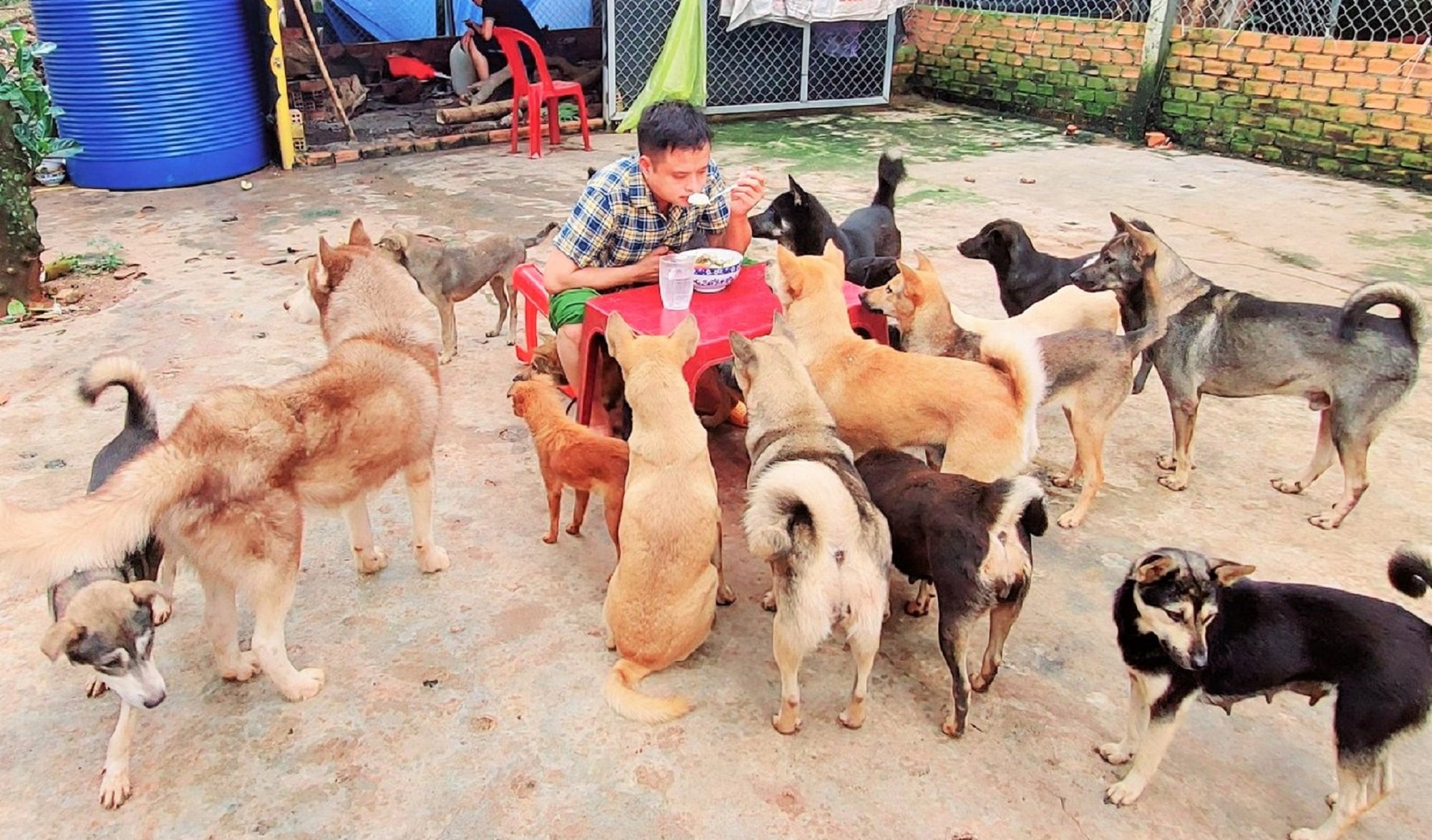 Tấm lòng anh cảnh sát giao thông mở quán ăn 0 đồng, &quot;giải cứu&quot; chó mèo - Ảnh 4.