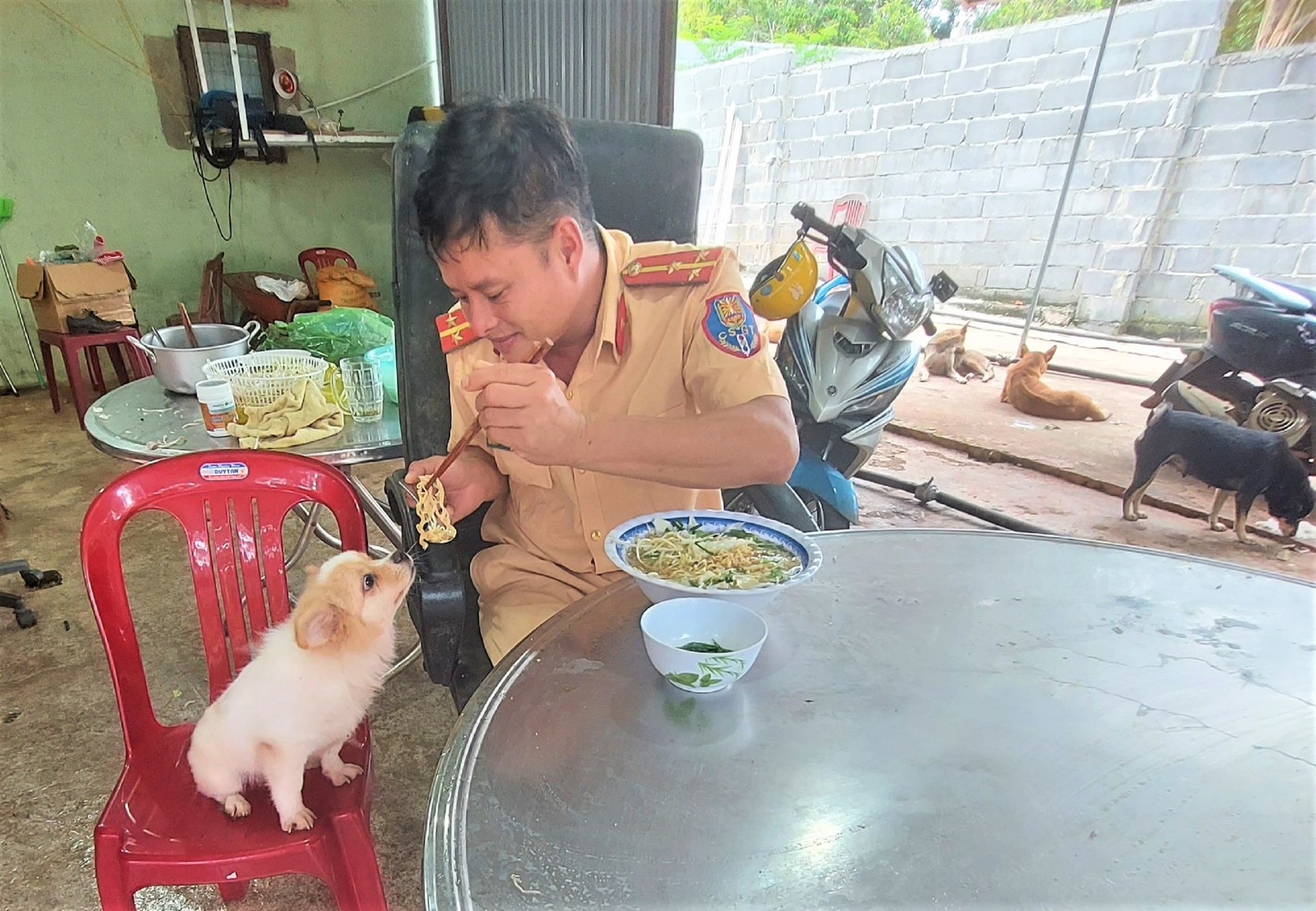 Tấm lòng anh cảnh sát giao thông mở quán ăn 0 đồng, &quot;giải cứu&quot; chó mèo - Ảnh 5.