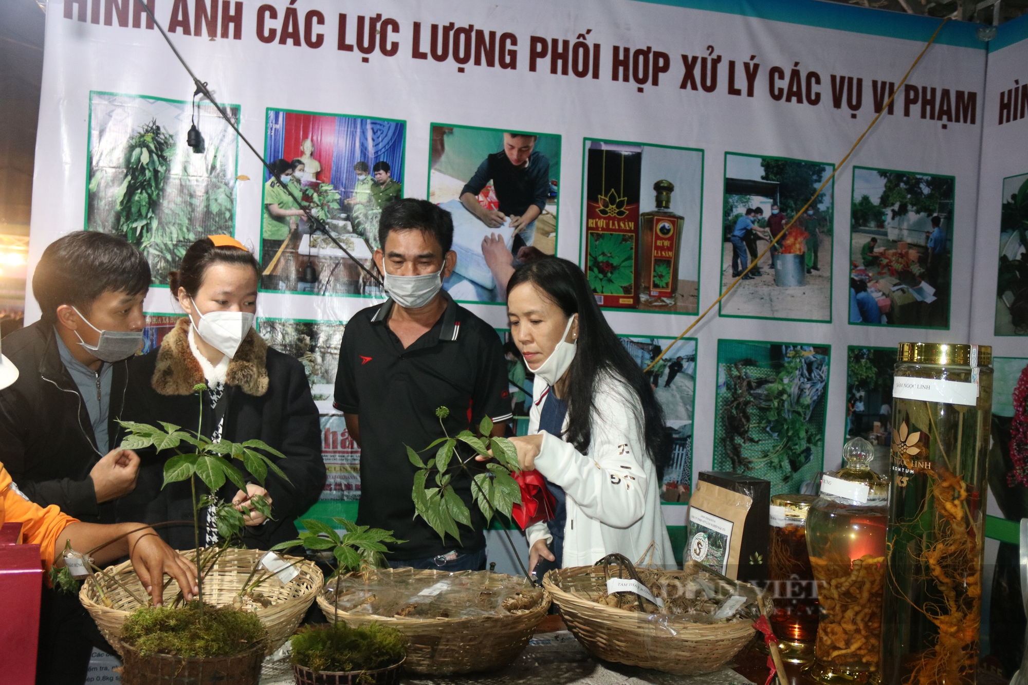 Dùng máy kiểm định để xác định sâm thật - giả tại phiên chợ sâm Ngọc Linh ở Kon Tum - Ảnh 1.