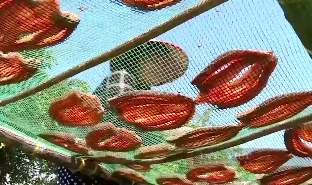 Bài 2. Đặc sản khô cá đồng ngóng trông “thượng đế”  - Ảnh 4.