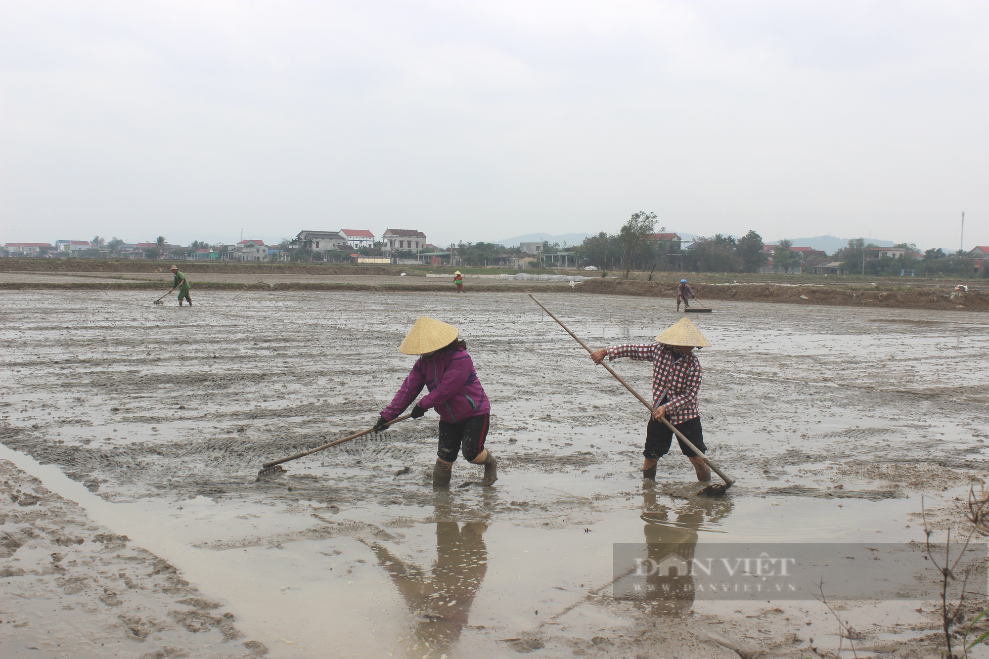 Nông dân Quảng Bình hối hả ra đồng gieo trồng vụ lúa đông - xuân trong tiết trời nắng ấm - Ảnh 5.