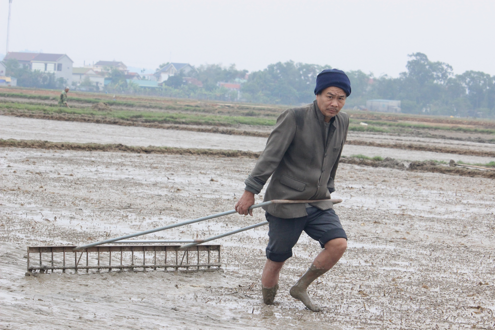 Nông dân Quảng Bình hối hả ra đồng gieo trồng vụ lúa đông - xuân trong tiết trời nắng ấm - Ảnh 4.