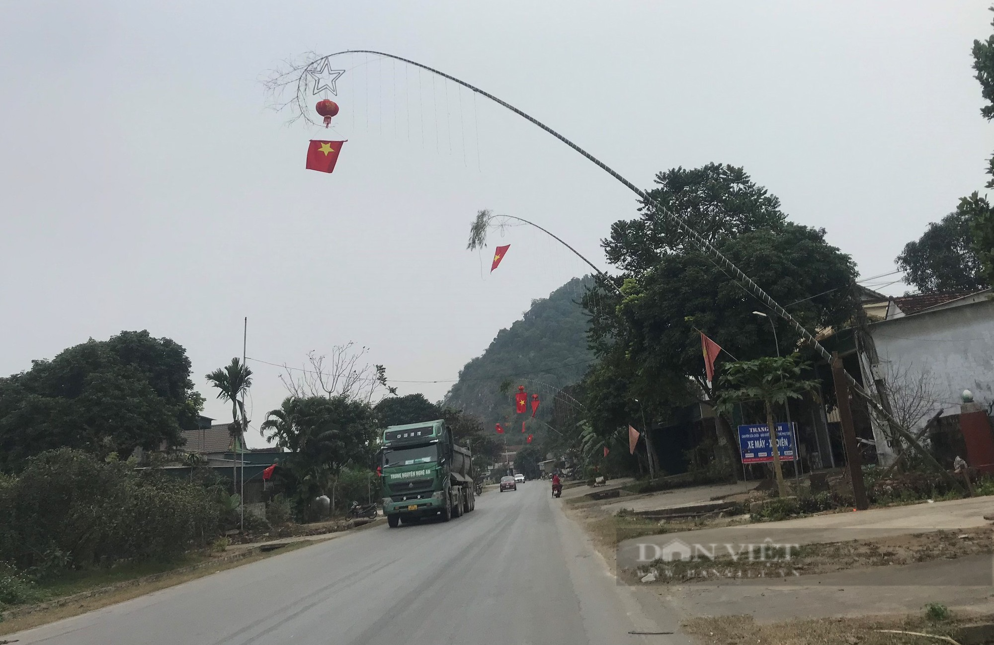 Nghệ An: Loại cây thẳng tắp dựng lên để xua xui xẻo, đón may mắn bán chạy như tôm tươi những ngày gần Tết - Ảnh 4.