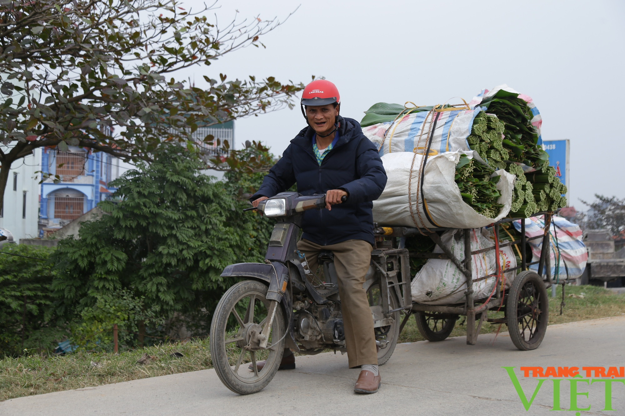 Ngôi làng cổ 400 năm trồng lá dong ở Hà Nội, người dân 'hái lá đếm tiền' - Ảnh 4.