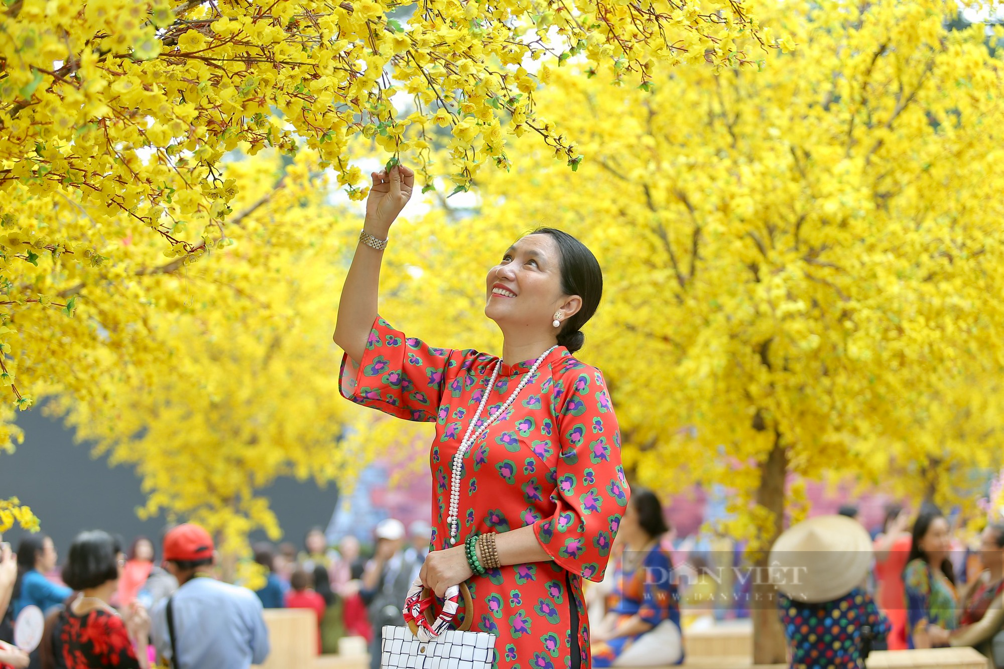 Vì sao người dân Sài Gòn đua nhau chụp hình Tết - Ảnh 8.