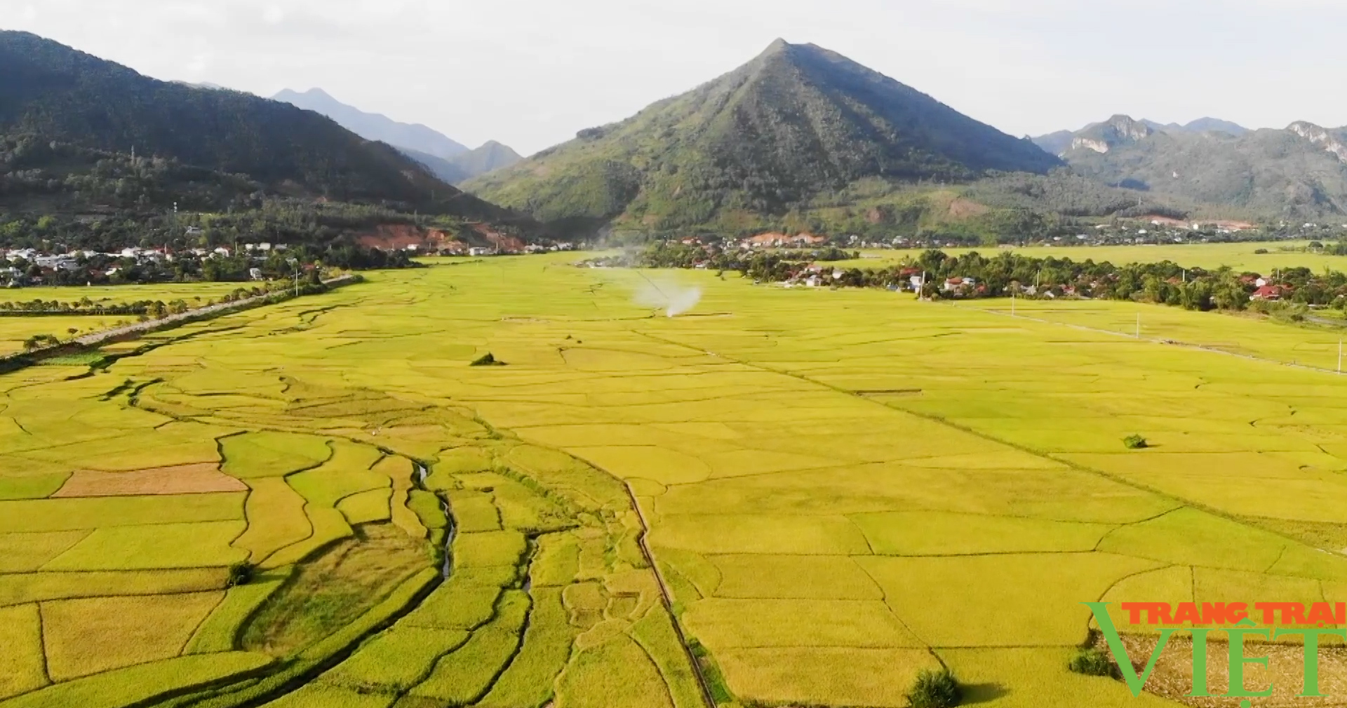 Điểm sáng nông nghiệp Phù Yên:  Phát triển nông nghiệp ứng dụng công nghệ cao gắn với nông nghiệp hữu cơ - Ảnh 2.