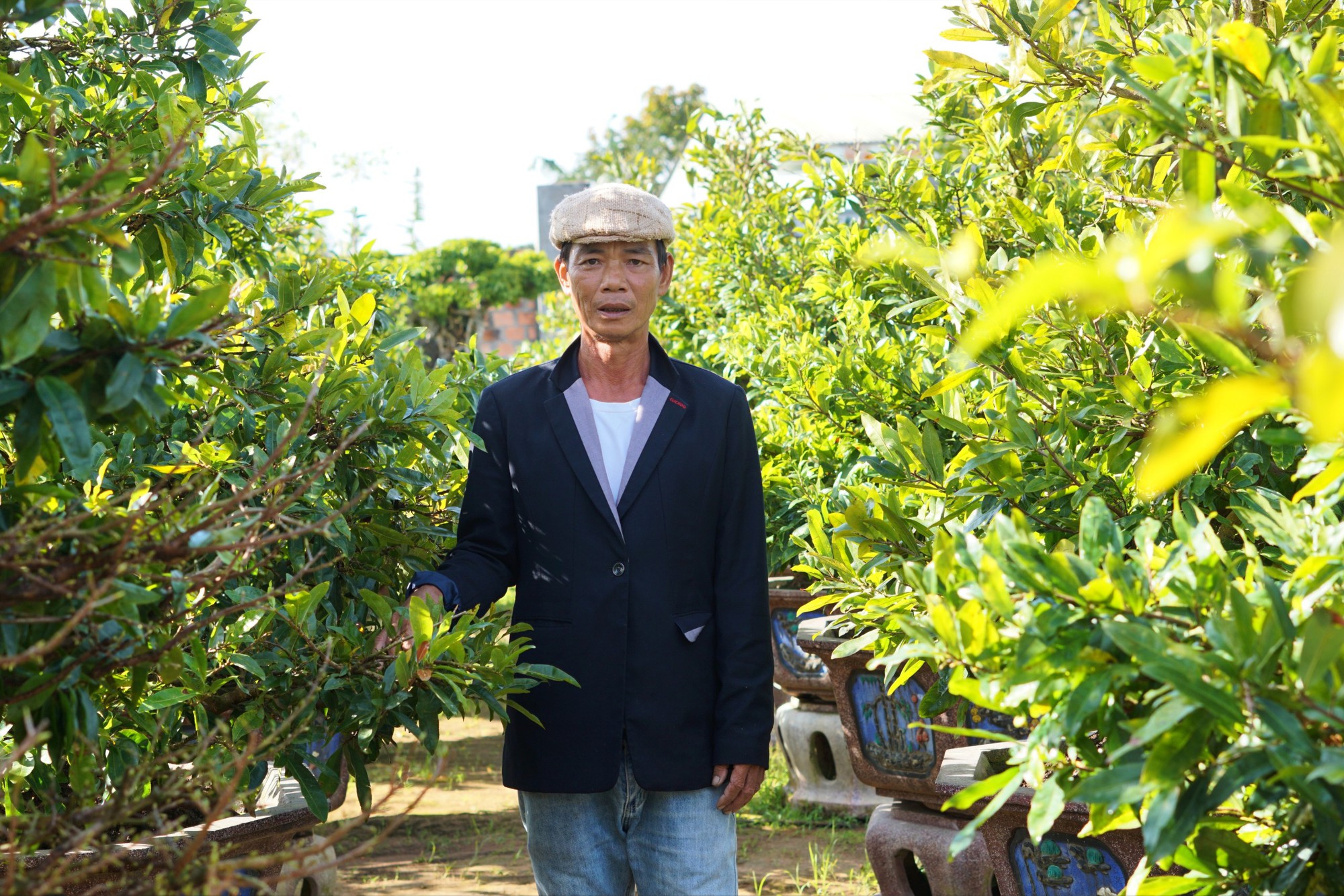 Mai vàng Kon Tum, cây chưa lặt lá hoa đã nở rộ, cả làng xôn xao, ông nông dân này vẫn &quot;bình chân như vại&quot; - Ảnh 6.