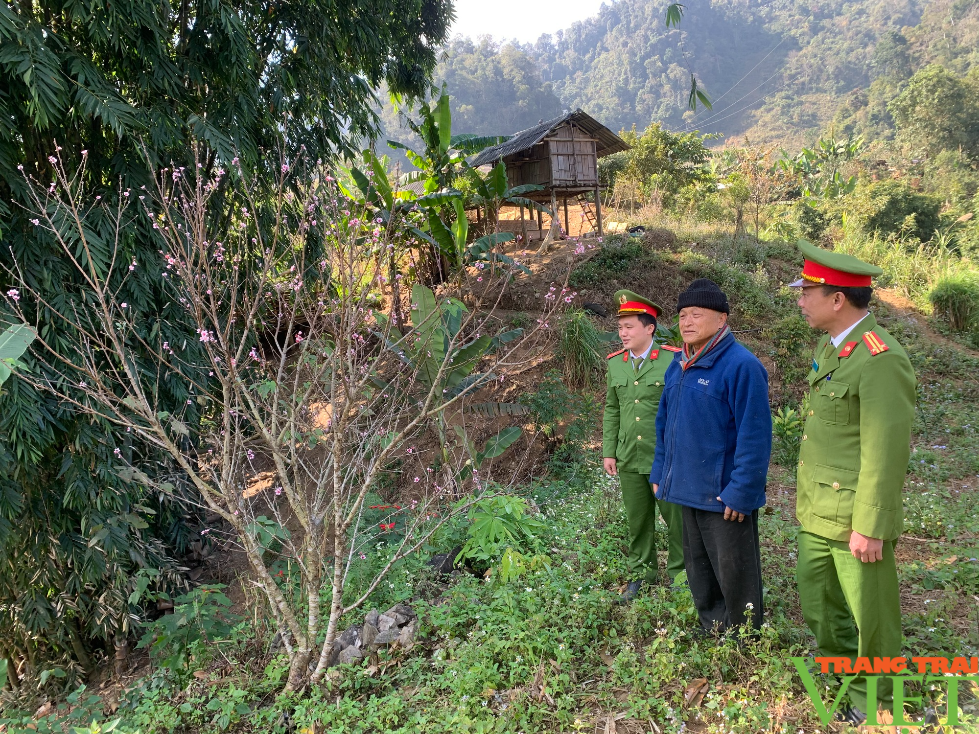 Đổi thay trên quê hương đồng bào Mông - Ảnh 4. Đổi thay trên quê hương đồng bào Mông - Ảnh 4.