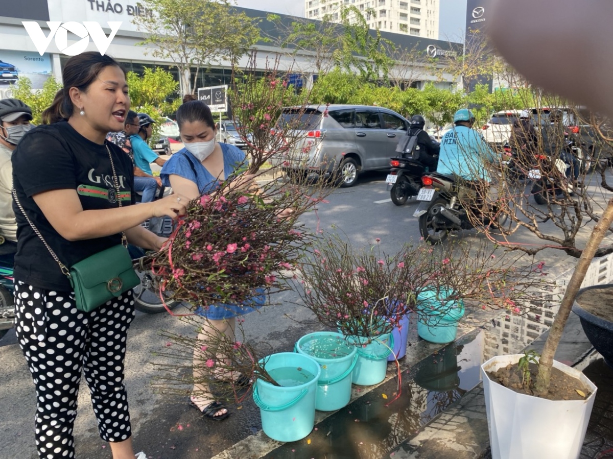 Hoa kiểng miền Bắc đưa vào TP.HCM giảm do ngại sức mua kém - Ảnh 3.