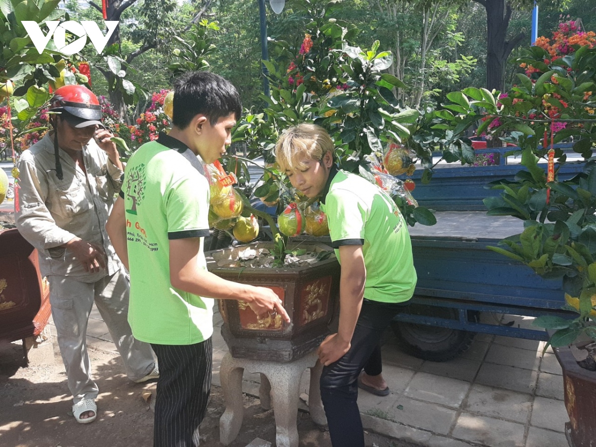Hoa kiểng miền Bắc đưa vào TP.HCM giảm do ngại sức mua kém - Ảnh 1.