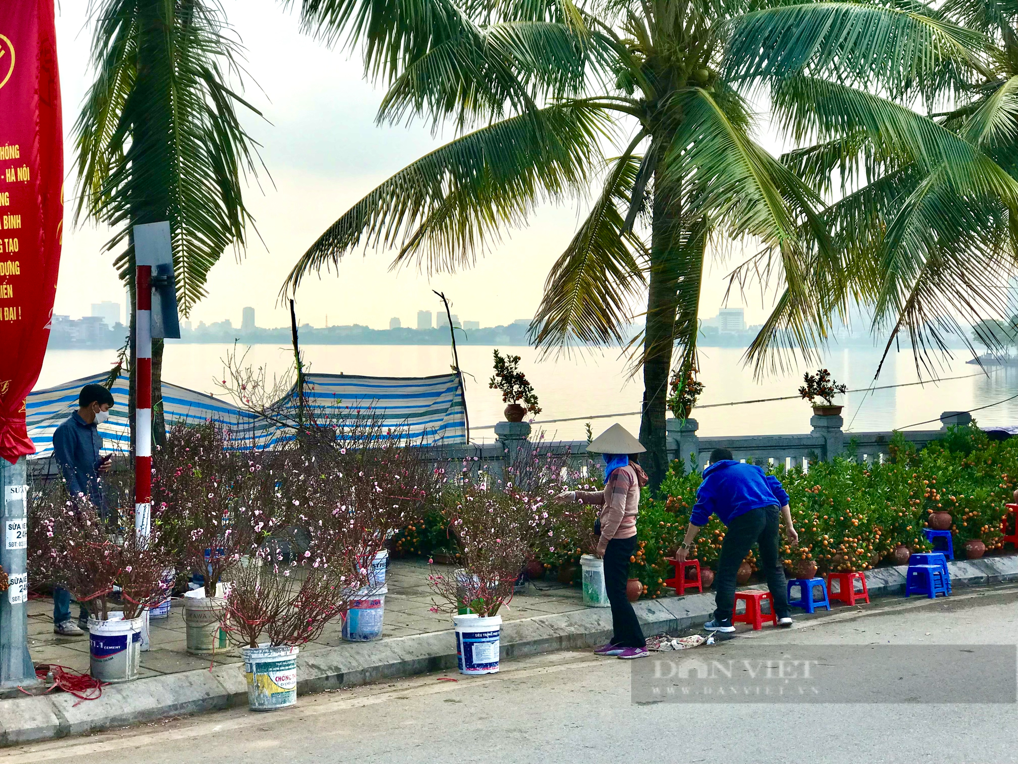 Sắc hoa nở rực trên con đường hoa sầm uất nhất Hà Nội - Ảnh 2.