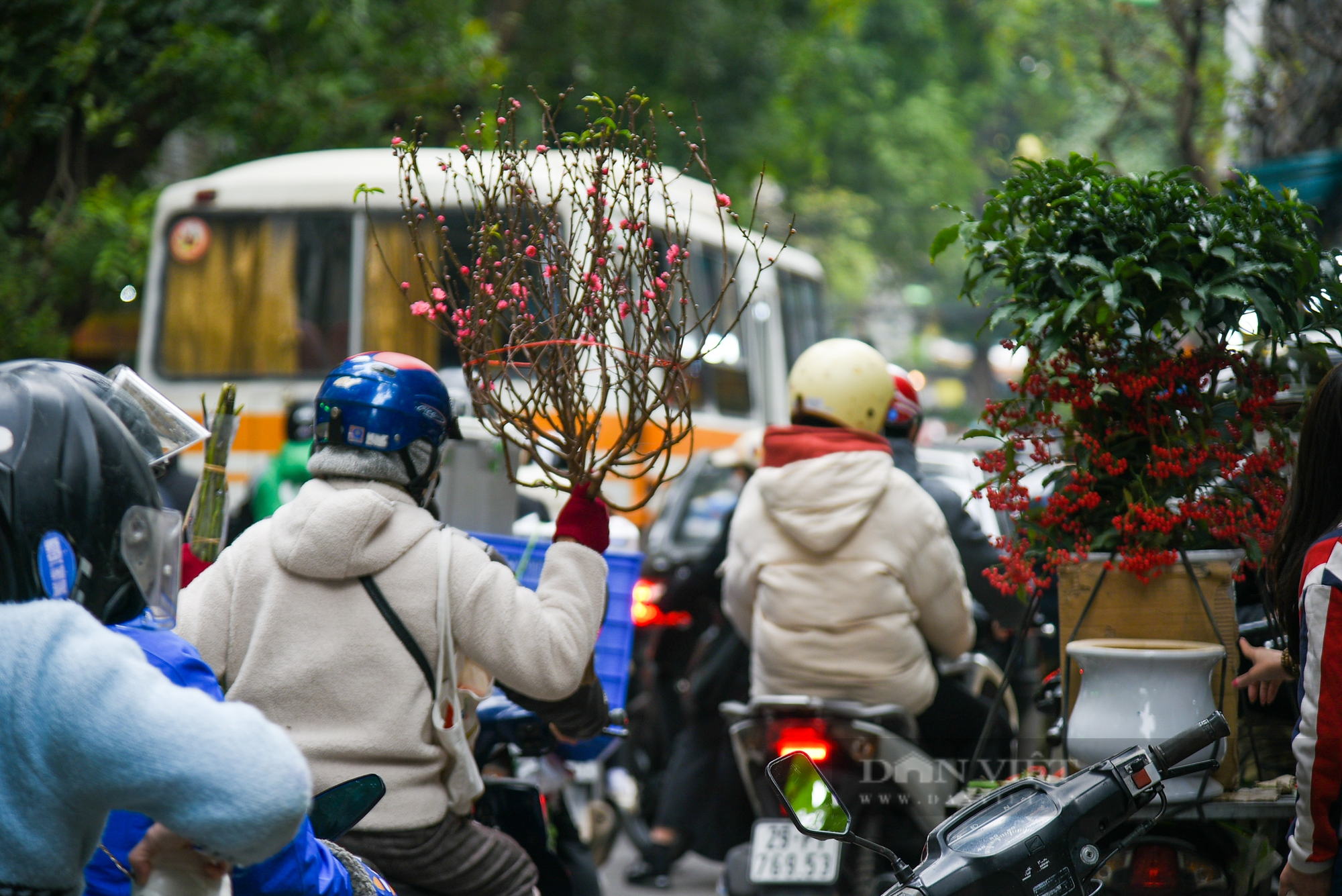 Chợ hoa phố Hoàng Hoa Thám rực rỡ ngày cận Tết Quý Mão 2023 - Ảnh 12.