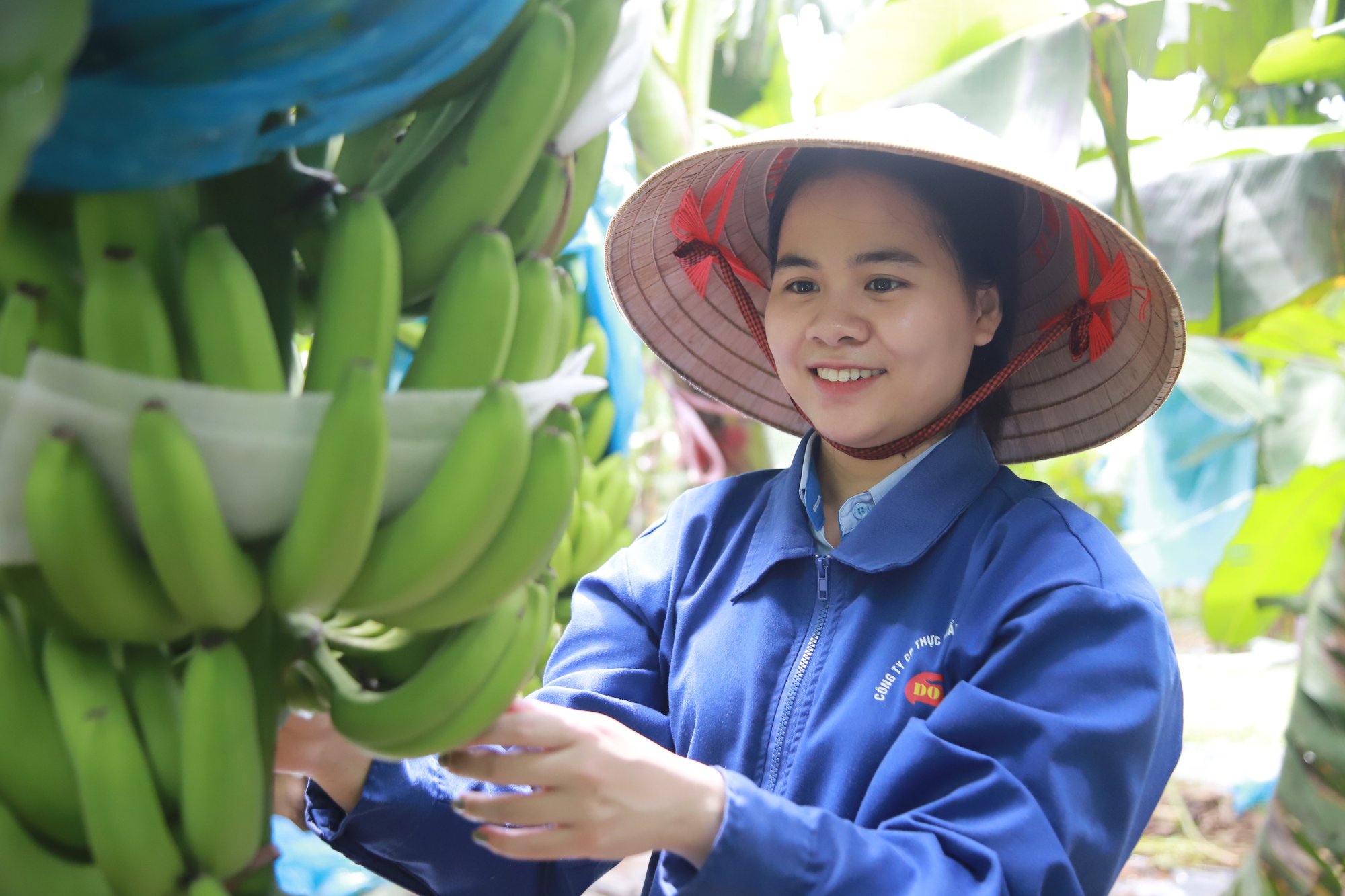 Những chuyến đi khơi thông thị trường nông sản Việt - Ảnh 3.