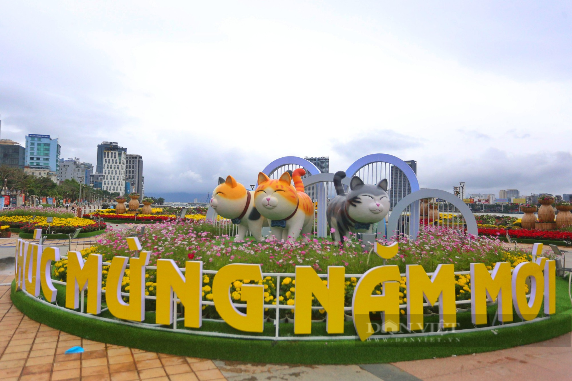 Thích thú với linh vật mèo mũm mĩm, cười tít tại Đà Nẵng - Ảnh 1.