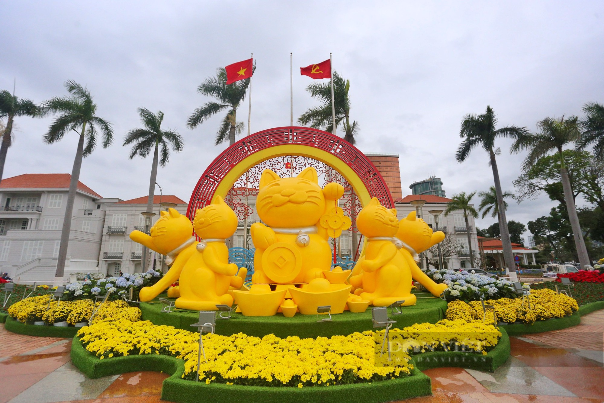 Thích thú với linh vật mèo mũm mĩm, cười tít tại Đà Nẵng - Ảnh 3.
