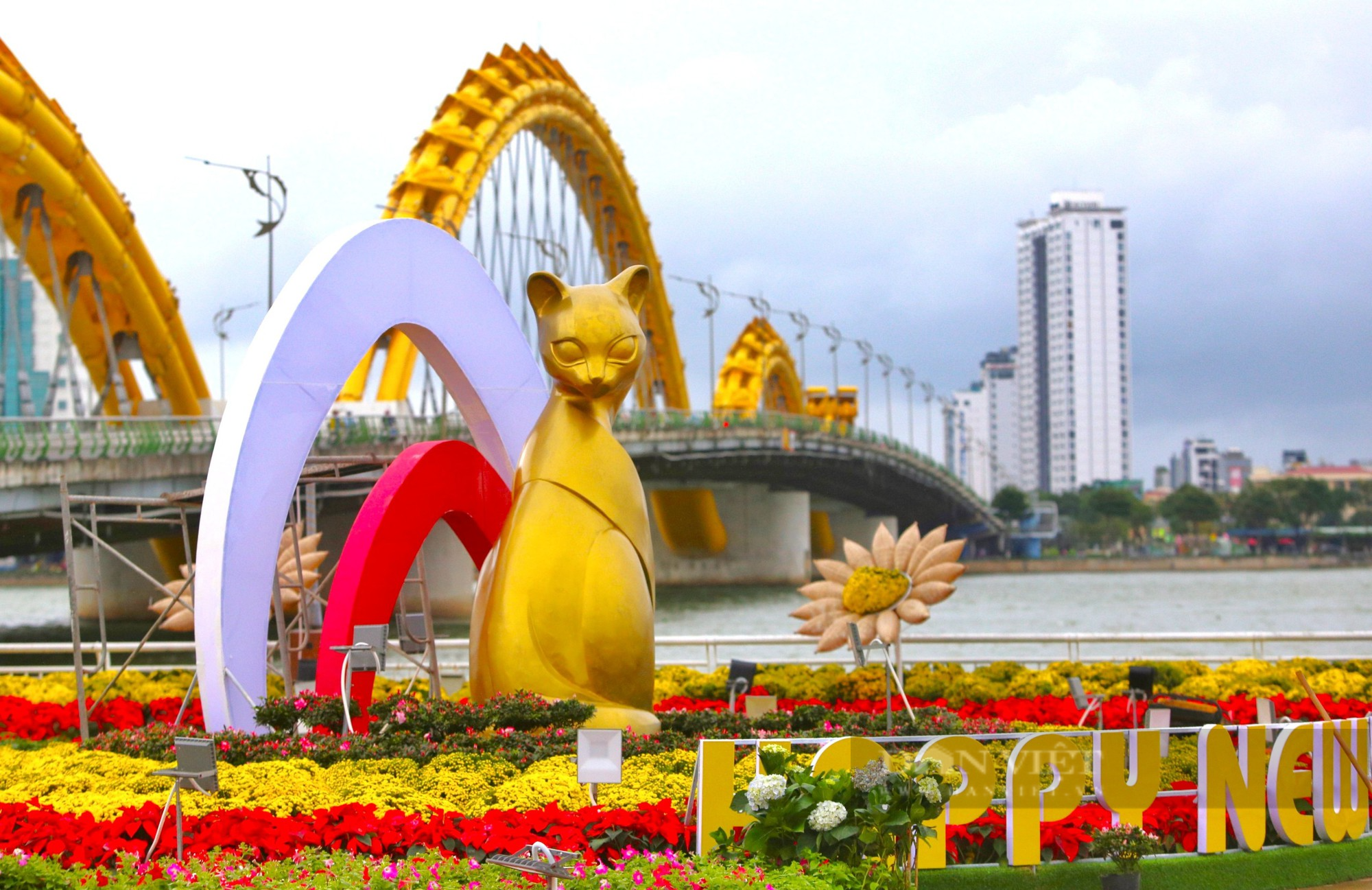 Thích thú với linh vật mèo mũm mĩm, cười tít tại Đà Nẵng - Ảnh 7.