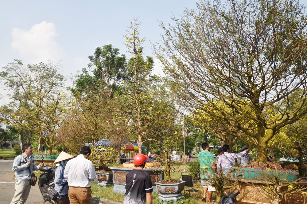 Sài Gòn rộn rã vào Xuân - Ảnh 11.