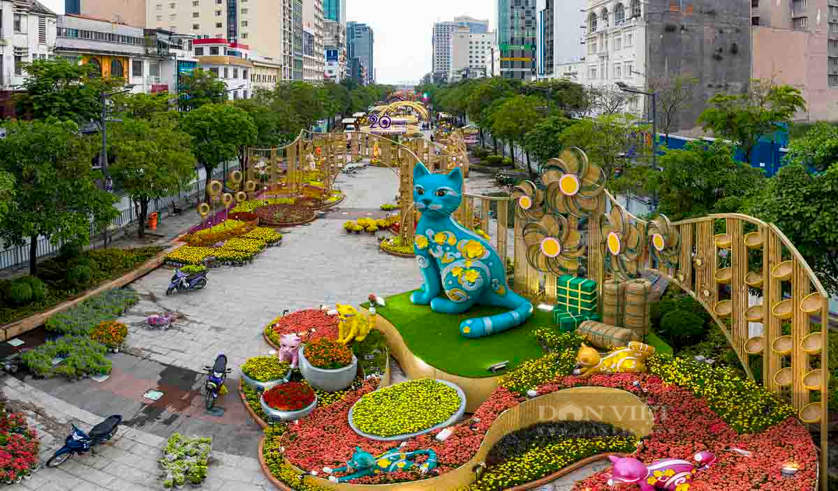 Sài Gòn rộn rã vào Xuân - Ảnh 16.