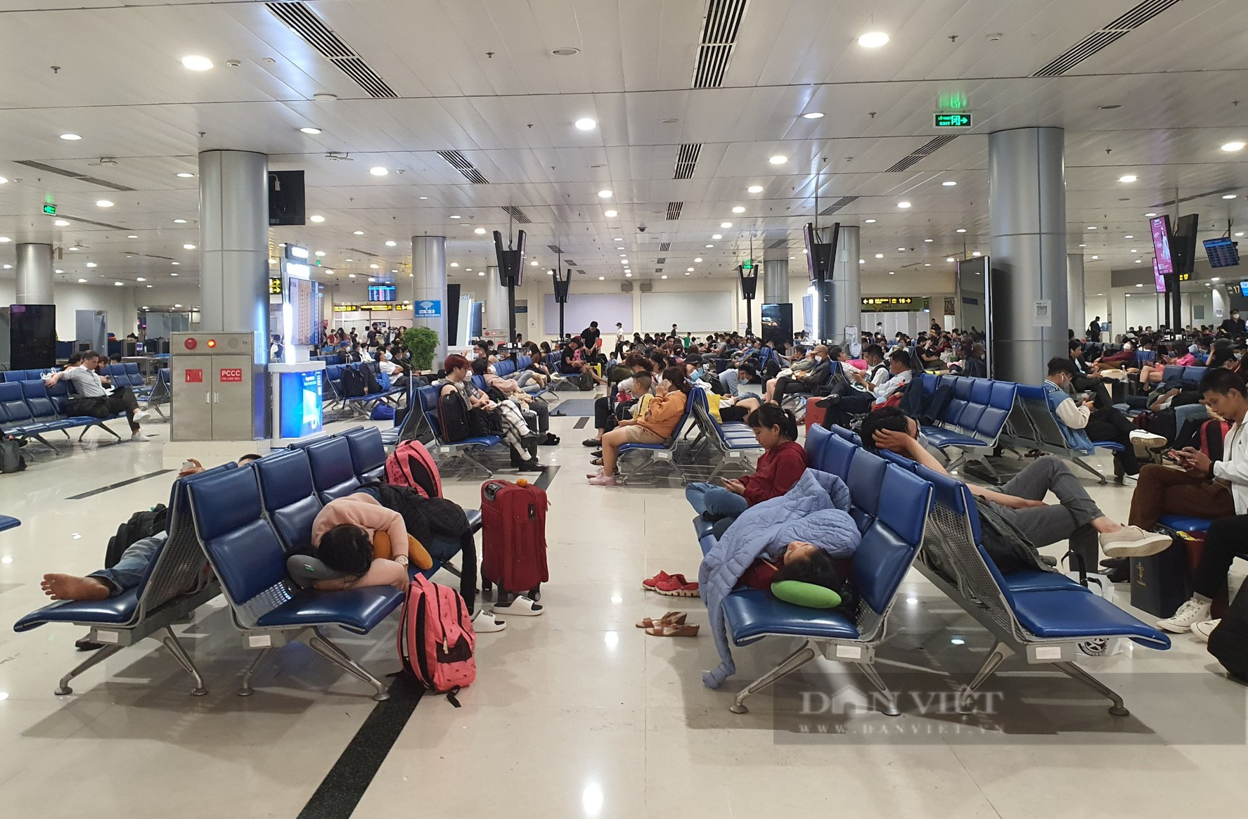 Nhiều người chọn bay đêm, Tân Sơn Nhất bất ngờ thông thoáng vào cận Tết - Ảnh 3.