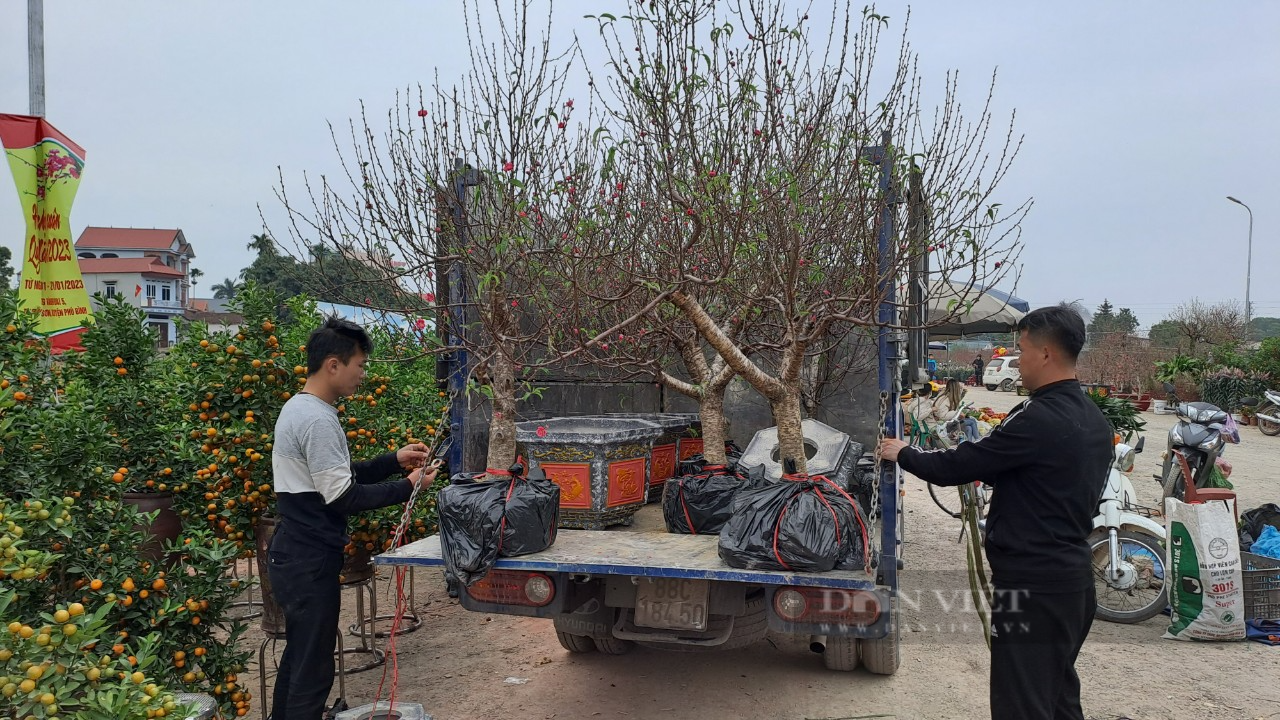 Thái Nguyên: Ảm đạm chợ hoa ngày giáp Tết, đìu hiu người bán kẻ mua - Ảnh 5.