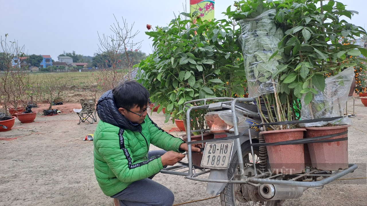 Thái Nguyên: Ảm đạm chợ hoa ngày giáp Tết, đìu hiu người bán kẻ mua - Ảnh 4.