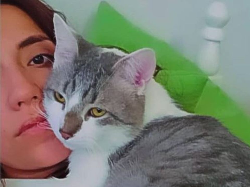 Hãng hàng không thuê nhà ngoại cảm để tìm mèo mất tích cho hành khách - Ảnh 1.