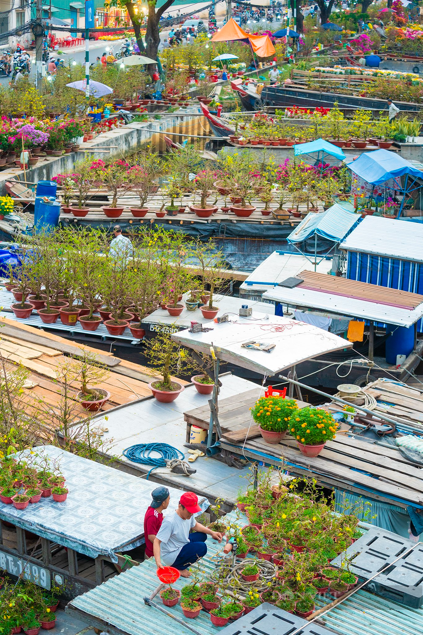 Đẹp say lòng chợ hoa Xuân trên bến dưới thuyền - Ảnh 15.
