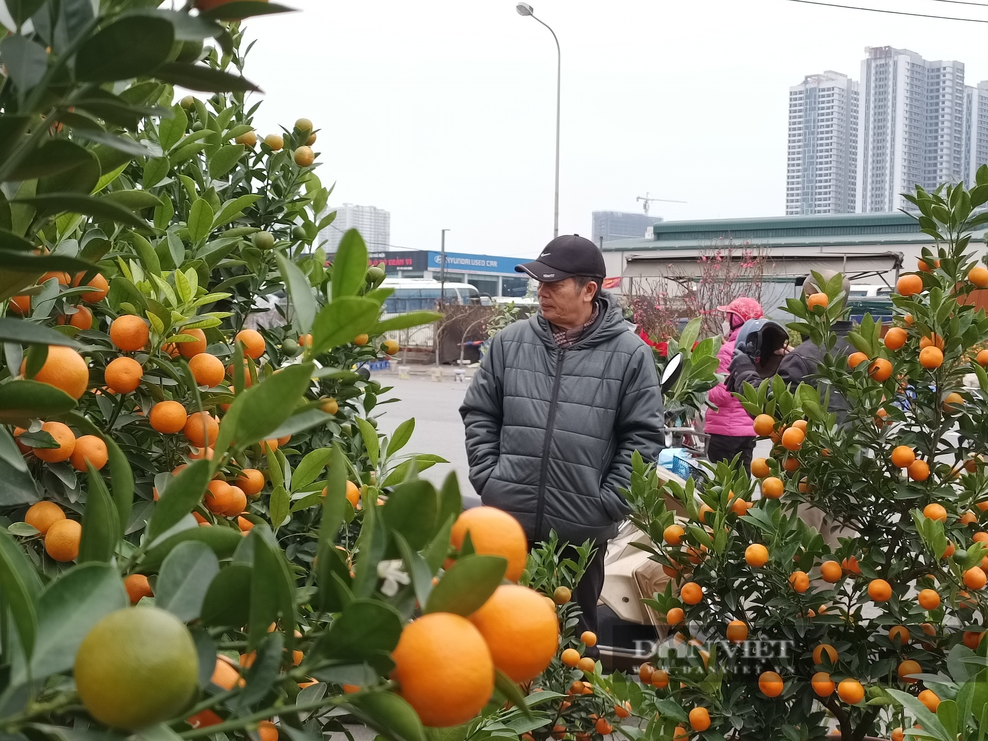 Thú chơi Tết đơn giản, tinh tế của người Hà Nội - Ảnh 5.