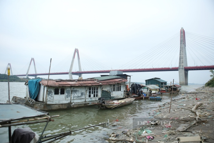 Cuộc sống lênh đênh của những phận người “ăn ngủ” dưới lòng sông Hồng ước mơ một lần ăn Tết trên bờ - Ảnh 1.