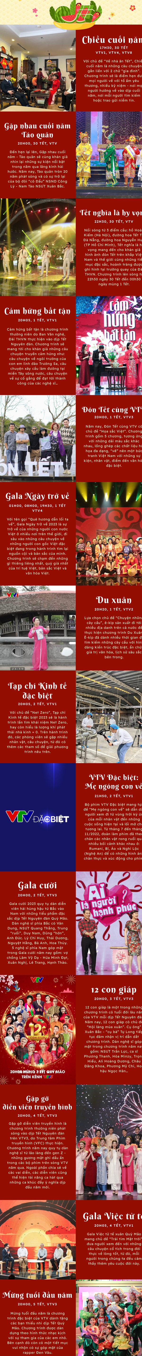 Lý do VTV hoãn phát sóng phim giờ vàng dịp Tết Nguyên đán Quý Mão - Ảnh 2.