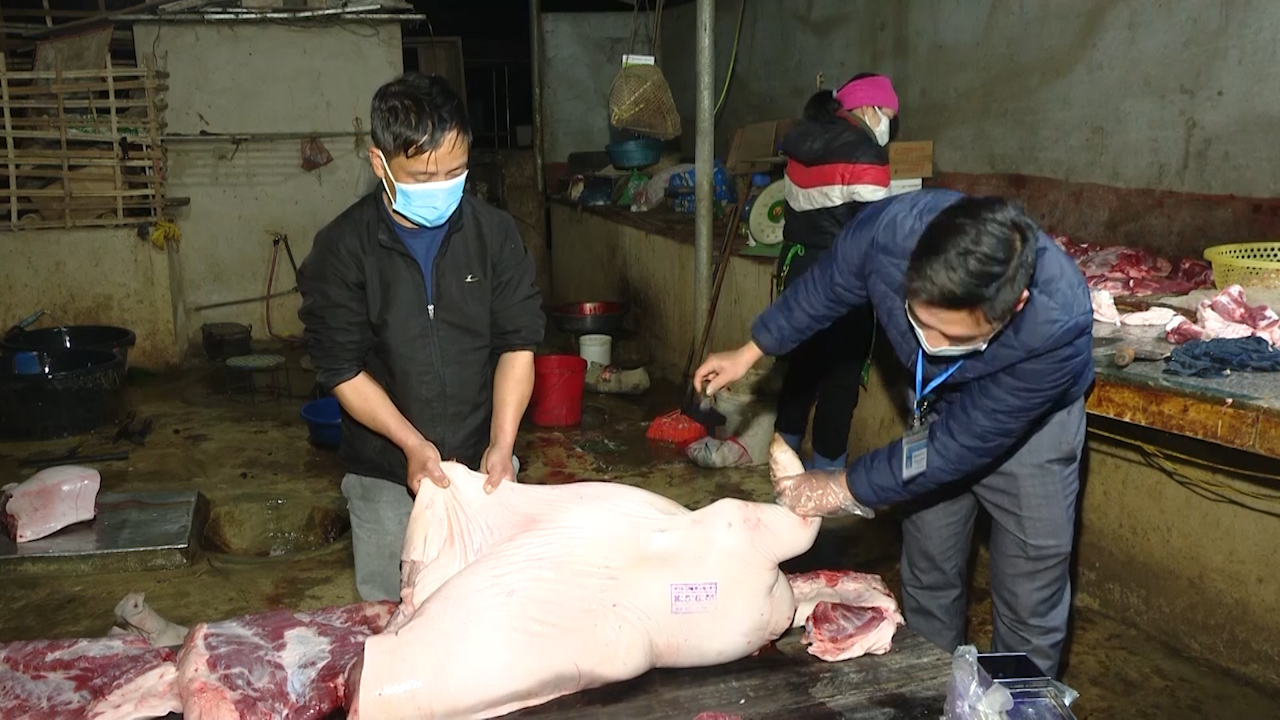 Tăng cường kiểm soát, kiểm dịch động vật dịp tết - Ảnh 3. Tăng cường kiểm soát, kiểm dịch động vật dịp tết - Ảnh 3.