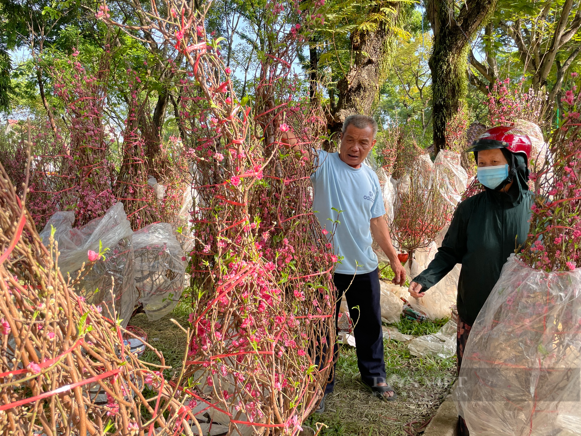Chợ hoa Sài Gòn 30 Tết còn ê hề, nhà vườn bán rẻ như cho vẫn ế - Ảnh 2.