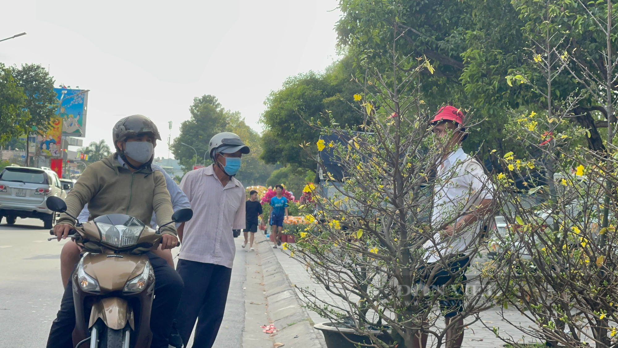 Chiều 30 tết, hoa kiểng tụt giá không phanh, sale khủng, người mua &quot;hốt cú chót&quot; - Ảnh 1.