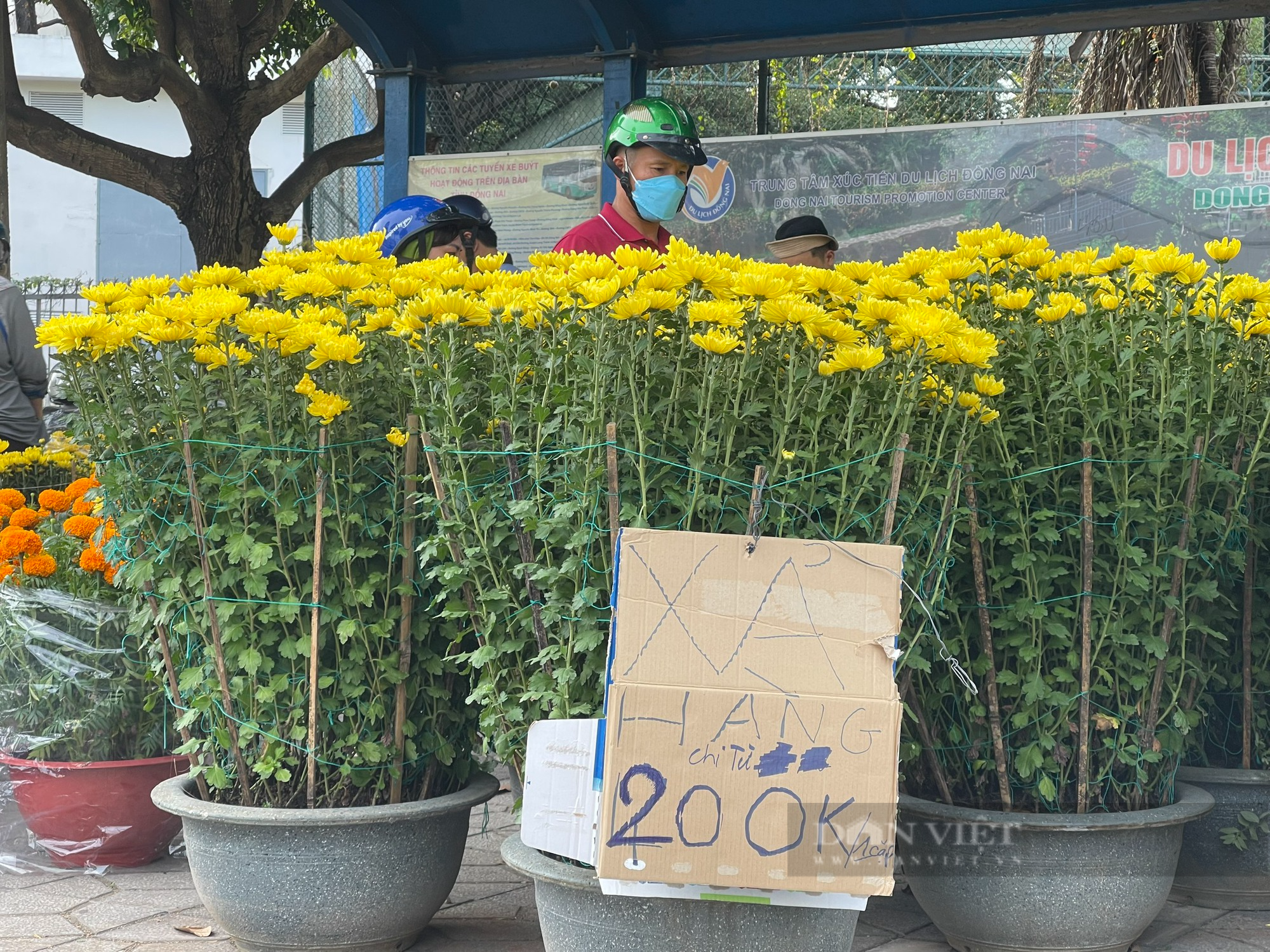 Chiều 30 tết, hoa kiểng tụt giá không phanh, sale khủng, người mua &quot;hốt cú chót&quot; - Ảnh 3.