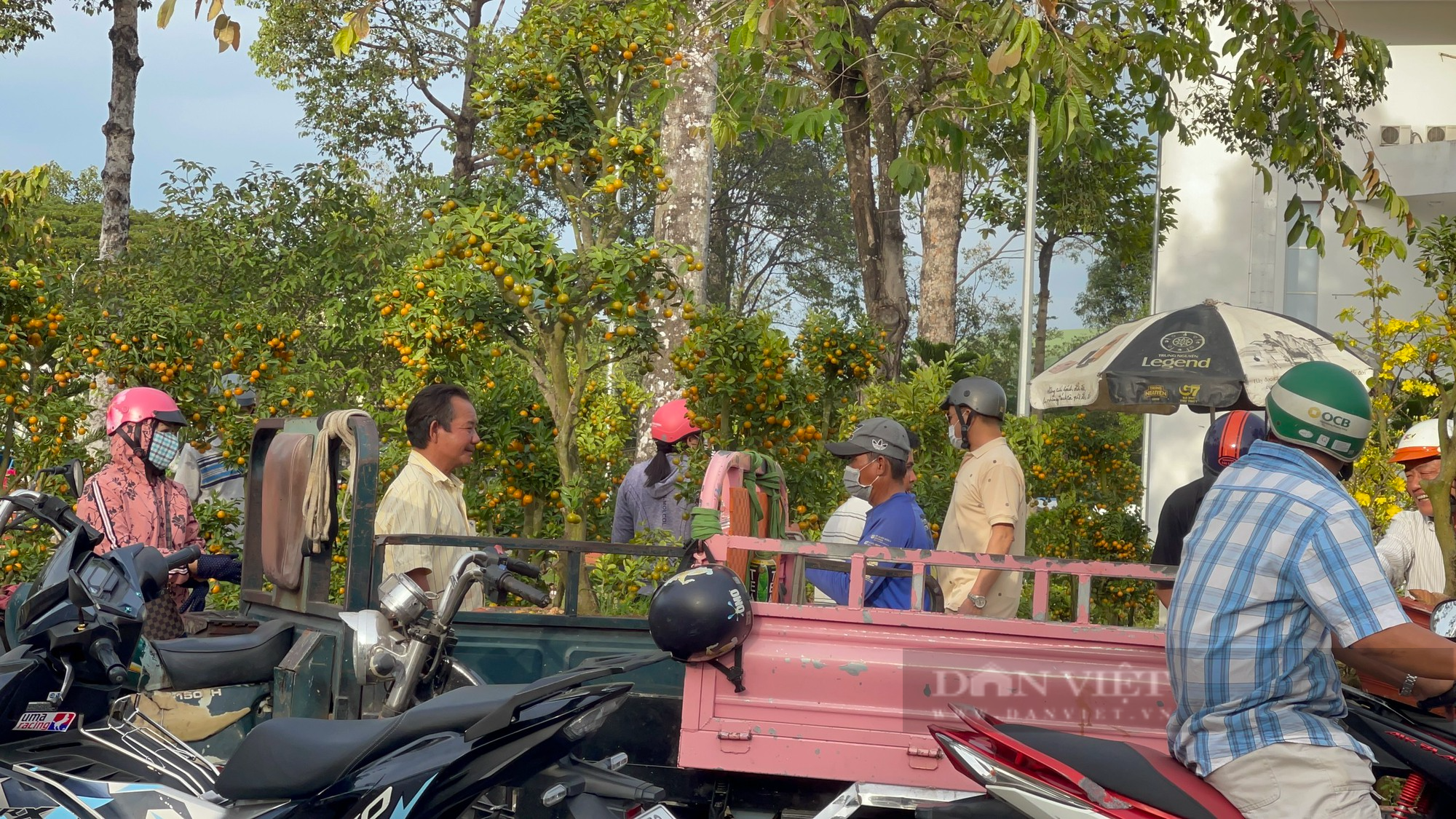 Chiều 30 tết, hoa kiểng tụt giá không phanh, sale khủng, người mua &quot;hốt cú chót&quot; - Ảnh 6.